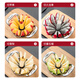 CCKO fruit cutting tool, multifunctional fruit divider, thickened stainless steel fruit slicer, labor-saving corer, 10-petal zinc alloy apple cutter