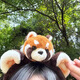 Danqin cute little raccoon plush headband for women, face wash, makeup headband, facial mask, special hairpin hair accessories, autumn and winter little raccoon plush headband