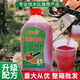 Chain saw oil garden machinery two-stroke 2T gasoline mixed combustion oil logging motorcycle oil 1 bottle