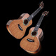 AJIMA full single mahogany bright ukulele beginner male student adult female small guitar A5 23-inch wood color electric box model