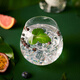 Canaima [Originalflasche importiert] Venezuela Amazon Rainforest Gin Wein 700 ml Canaima Regenwald Gin Wein 700 ml 1 Flasche