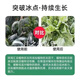 Imported plant antifreeze liquid antifreeze plant antifreeze melons, fruits and vegetable seedlings antifreeze safe winter antifreeze no frost damage antifreeze 500g* bottle cold resistance + fertilizer supplement to increase production