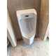 Renjuyi urinal 81987 induction integrated floor-standing USWN810BE AC