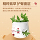 Yinyin Soft Fairy Tale Baby Pulling Pants Ultra-Thin Dry Diapers Baby Diets Universal for Men and Women XXXL Code 20 Tablets (>17kg)