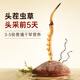 Ayishe [Purpose Gift Box] Ayishe Cordyceps sinensis Authentic Cordyceps gift box Unbroken grass tonic for elders 5 sticks/g4 grams 20 sticks [Purpose Gift Box]