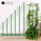 九千谷植物攀爬架包钢管花架蔷薇月季葡萄固定支撑防倒固定架60cm4634