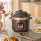 Royalstar Electric Stew Pot Fully Automatic Soup Ceramic Purple Clay Pot Household Large Capacity Intelligent Reservable Timed Electric Stew Cup Porridge Electric Casserole Slow Cooker Soup Pot Stewing Pot Mechanical Model Manual Turn Off 4.5L (4-5 People)
