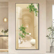 Wale Patio Nordic Veranda Dekorative Malerei grüne Pflanzen Korridor Gang Hängende Malerei Sahne Stil Wohnzimmer Eingangstür vertikaler Wandmalerkristall Porzellan Gemälde 844-2 50*100 Gold Rahmen/Kristallporzellan Gemälde