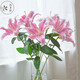 Yue Colorful AB grade high-quality perfume lilies, various living flowers for home and office, Kunming base, freshly picked for straight hair, 10 random single-color lilies (5 branches for double heads)