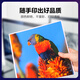 
Color grid suitable for OKI C844 Powder Box C824DN Toner Box C834NW Ink Cartridge C835dnw n Toner Box Toner Box [10000 Pages] C844/C824 Red Large Capacity Powder Box