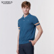 
Scofield new men's spring and autumn fashion casual trend comfortable short-sleeved pullover sweater blue L (175)
