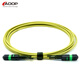 ADOP800G high-speed optical cable LC duplex single-mode OS2 400G module one-point two-fiber fiber jumper Financial grade low-latency supercomputing center/autonomous driving test field 12-core MPO(APC)-MPO(APC) 5 meters