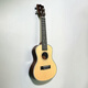 Saint Lipinn Veneer ukulélé Small Guitare 23 pouces Instrument de musique amusant de 23 pouces Gift Adult Ukulele Modèle personnalisé combo 23 pouces + non