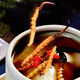 Cordyceps de Mountain Cordyceps Sinensis sélectionné de haute qualité, propre et lyophilisé Cordyceps dodyceps et ininterrompu Boîte-cadeau du Nouvel An 3-5 pièces / gramme