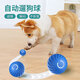 Zigman Dog Toy Bite-Resistant Ball Automatic Dog-Amusing Artifact Self-Happiness Relief Pet Electric Puppy Intelligent Elastic Dog Walking Ball