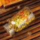 Nanjing Tongrentang Ganoderma Lucidum Spore Huile Capsule Soft-Creaking Nutritional Products pour améliorer l'immunité Flagique officielle de poudre d'immunité 1 bouteille 16,5 g