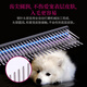 Black Bird Pet Beauty Straight Comb Aluminum Comb Professional Hair Picking Comb Opening Knot Styling Comb Floating Cat and Dog Pointed Tail Comb Purple Small Straight Comb (18.8x3.5cm)