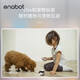 Activer l'EBO SE Mobile Surveillance Camera Home Tenveillance Robot Smart Cat Companion WiFi Networking Home Cruise Interphone Interphone Relation longue distance Electronic Boyfriend EBO SE Version (Obtenez une carte, une lecture et une vidéo 32G en environ 4 jours)