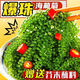 盐渍海葡萄泡发食用 儿童海藻菜海洋蔬菜海草 海葡萄100g*5袋【送芥末酱油】
