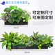 Simulation Grüne Pflanze Set Simuliertes Blütenpartition Pflanzendekoration Ornament Blütenrille Schildkröte Rückenblatt Blumenbox gefälschte Blumenlandschaft E3895x20cm Bunt