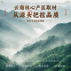 Taishoutang panax notoginseng comprimés tianqi chinois à base de plantes panax notoginseng en poudre trempée dans l'eau, le thé, le vin, la soupe mijotée pour les anciens, les parents et les personnes âgées. Comprimés de Panax notoginseng 100g * 5 canettes