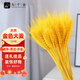Jiuqiangu wheat ears dried bouquet opening housewarming barley decorative ornaments living room entrance fake flower arrangement gold 100 pieces 4398
