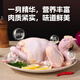 Xianjingcai Sanhuang Chicken 4Jin Jin equals 0.5kg (pack of 2) frozen free-range chicken free-range chicken soup ingredients straight from the source