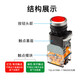 Chint (CHNT) push button switch 220V with light self-locking LAY39B (LA38)-11BNZSD red and green flat button red AC 220V