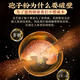 Pejing Tongrentang immunnieren kulturelles Erbe organischer Breaking Wand Ganoderma Sporenpulver Peking Tongrentang Red Zhisheng Huoshan Breaking Wand Ganoderma Spore Pulver Authentische Robe verstärkt die Immunität und nährt Nähren und nähre Nahrung mittleren und älteren Menschen 60% der Volksauswahl.