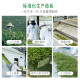 Fangyu Anji White Tea Special Four Diamond Mingqian Green Tea 250g New Tea in 2025 Bag Tea Leaves
