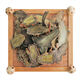 Panax notoginseng slices 30 heads Yunnan Wenshantian seven slices authentic without cuts wild thin slices brewed tea Panax notoginseng slices 30 heads 50 grams