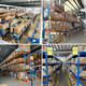 SOKFAN three giant SANJU cabinet distribution cabinet 220V cooling fan SJ8025/9225/1225/1238/1725HA2 SJ1238HA2 S AC220V