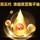 
Beijing Tongrentang [Official Authentic Store] Ganoderma lucidum spore oil authentic Changbaishan Ganoderma lucidum spore oil Ganoderma lucidum spore powder extraction flagship quality Ganoderma lucidum spore oil 120 capsules 1 bottle