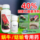 Sichuan Pesticide 40% metaldehyde snail insecticide special granules to kill slugs, slugs, molluscs 500g
