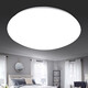 Micro ceiling lamp LED super bright home living room bedroom kitchen lamp round staircase balcony simple 24W 26CM white light promotion