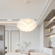 
Opuyuanxing Lamp Collection 2025 Living Room Bedroom Lights Dining Room Lamp Bedroom Chandelier 2023 New Nordic Internet Celebrity Creative 9272 White 35CM Three Colors