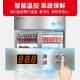 星星（XINGX）展示柜冷藏保鲜柜蔬菜水果双开门立式冰柜 冰箱商用大容量麻辣烫饭店食堂厨房点菜饮料串串啤酒 双门铜管880升BC-980Y