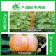 Zhongbao Zhongshengmycin Apple Tree Ring Spot Disease Cucumber Bacterial Angular Spot Disease Biopesticide Fungicide 1000g*1 Bag