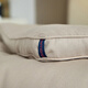 SOMERELLE 65% viscose quilt winter fiber quilt 20% carbon heating fiber quilt ultra-warm quilt offline same style rice brown color 200*230cm