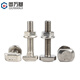 Guwanji European standard T-type screw aluminum profile T-type bolt nut flange nut 20/30/40/45 type L national standard fastener nickel plated type 40-M8x25 (20 sets)