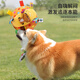 Cute Star Pet Dog Toy Sound Ball Pet Plush Bell Ball Interactive Training Supplies