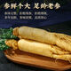 Eryabei [Boutique Changbaishan Extra großer Ginseng King] Pangdonglai Hochwertige Boutique Frisch Ginseng in Wein, Suppe und Tee Großhandel. 1 Fresh Ginseng hat ein Bruttogewicht von 7-10 Gramm. Ermäßigter Preis