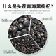 Qilixiang Black Wolfberry 250g*2 Dosen Qinghai Qaidam Zhongda Fruchtgesundheit Tee Nord- und Süd -Trockenwaren -Lieferung Geschenke für Ältestegruppen Kaufgeschenke