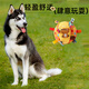 HOUYA dog toy ball sound toy pet dog relieves boredom, bite-resistant and consumes energy interactive toy
