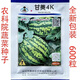 Sweet 4K Watermelon Seeds Spring and Autumn Sowing Station Divine Watermelon Seeds Thin Skin Dry Juice High Sweetness Low Temperature and Low Light Resistance 600 capsules/bag