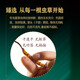 
Crystal grass Cordyceps sinensis health small pot tea birthday gift practical American ginseng Dendrobium saffron 20 cans gift box