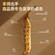 Tongrentang Marke Peking Tongrentang Cordyceps Cordyceps High-End-nahrhafte Geschenkbox Ernährungsprodukte für Älteste 1 Box 50g [Jinzun Geschenkbox] ungefähr 3 Stück/Gramm 150 Stücke