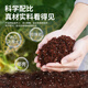 Devodo blueberry special nutrient soil 15L gardening vegetable soil green plant potted flower soil fruit and vegetable plant material organic planting soil
