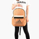 
Adidas new men and women bag backpack computer bag sports and casual bag backpack backpack travel backpack FJ9280 GN9853 MISC