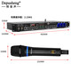 Depusheng REV3900 KTV pre-amp effector with rechargeable wireless microphone for home karaoke singing TV reverberator box commercial anti-howling audio processing USB fiber optic Bluetooth FX8 dual handheld rechargeable microphone